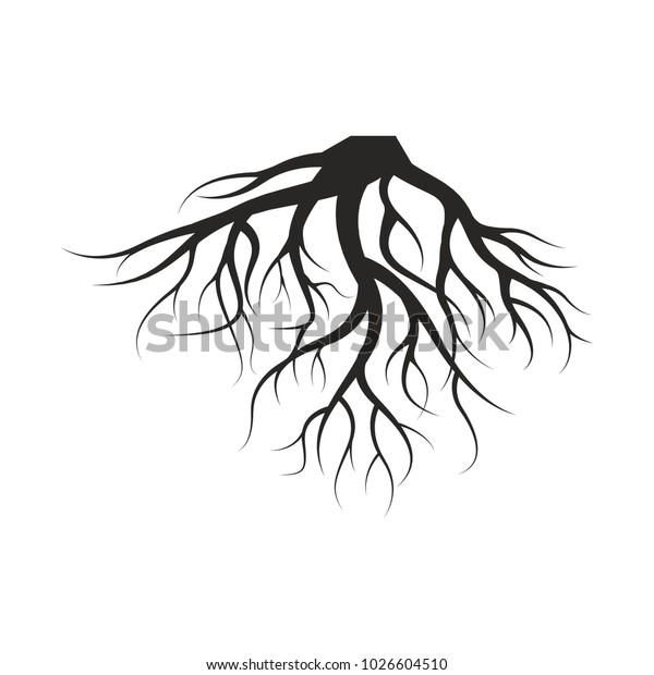 Vector Illustration Design Root Stock Vector (Royalty Free) 1026604510 ...