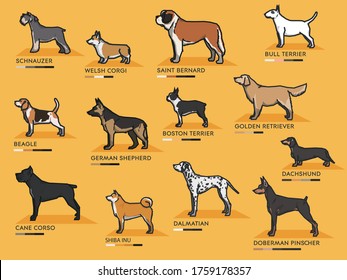 Conjunto de diseño de ilustración vectorial, diferentes perros en todo el mundo