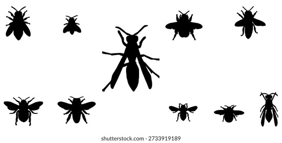 Vector illustration design of silhouette of group of flying insects