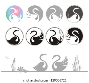 vector illustration of design swan