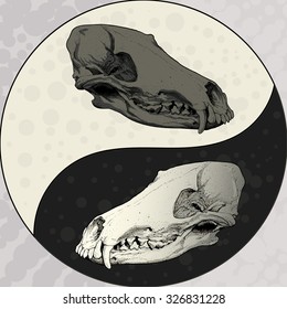 Vector illustration, design symbol.Skull of a predator on the background Yin Yang symbol.