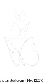 vector illustration design for three butterflies with white background