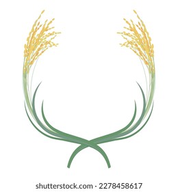 Vector illustration of a design of two crossed ears of rice.