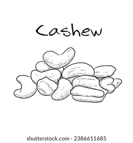 vector illustration design of various kinds of nuts suitable for food packaging products, stickers, templates, collections 