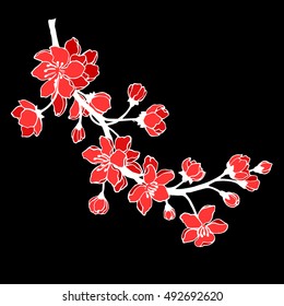 Vector illustration. Designer Sakura. Branch of Japanese cherry blossoms with beautiful flowers.Sakura on a black background. Handmade, outline drawing.