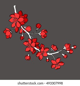 Vector illustration. Designer Sakura. Branch of Japanese cherry blossoms with beautiful flowers.Sakura handmade.