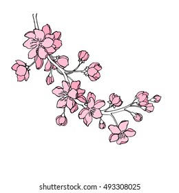 Spring Sakura Flowers Blossom Art Hand Stock Vector (Royalty Free ...