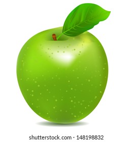 Vector illustration of detailed big shiny green apple