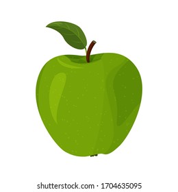 Vector illustration of detailed big shiny green apple. Fresh fruit isolated on white background.