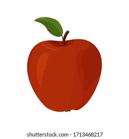 Dibujo vectorial de la detallada manzana roja brillante. Fruta fresca aislada de fondo blanco.