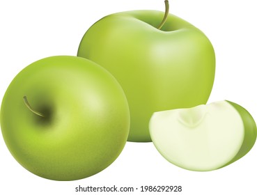 Vector illustration of detailed big shiny green apple, Realistic apples. Vector