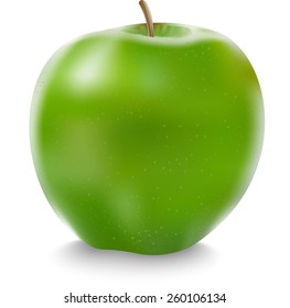 Vector illustration of detailed big shiny red apple. eps 10