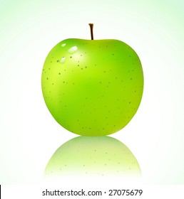 Vector illustration of detailed big shiny green apple