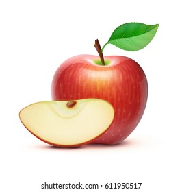 Vector illustration of detailed big shiny red apple