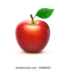 Vector illustration of detailed big shiny red apple