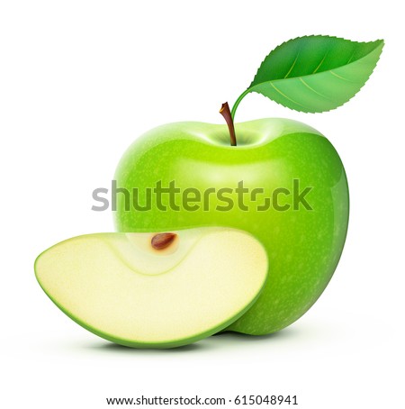 Vector illustration of detailed big shiny green apple