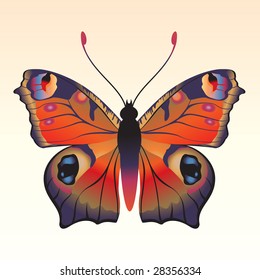 Vector Illustration of detailed Brightly colored butterfly.