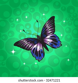 Vector Illustration of detailed Brightly colored butterfly on the funky green background.