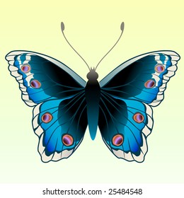 Vector Illustration of detailed Brightly coloured butterfly.