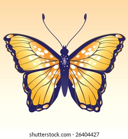 Vector Illustration of detailed Brightly coloured butterfly.