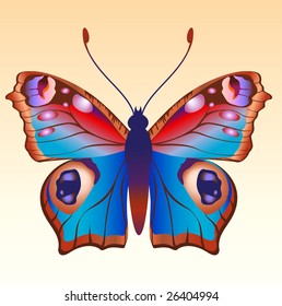 Vector Illustration of detailed Brightly coloured butterfly.