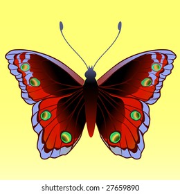 Vector Illustration of detailed Brightly coloured butterfly.