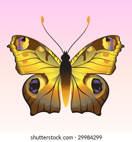 Vector Illustration of detailed Brightly coloured butterfly.