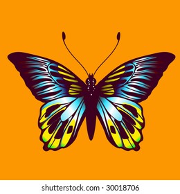 Vector Illustration of detailed Brightly coloured butterfly.