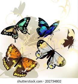 Vector illustration with detailed butterflies in vintage style