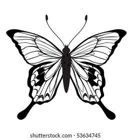 Vector Illustration of detailed butterfly silhouette.