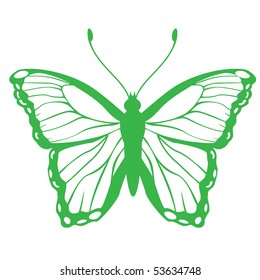 Vector Illustration of detailed butterfly silhouette.