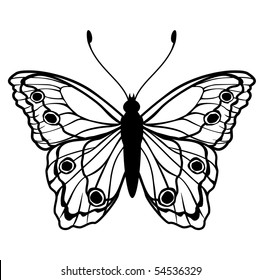 Vector Illustration of detailed butterfly silhouette.