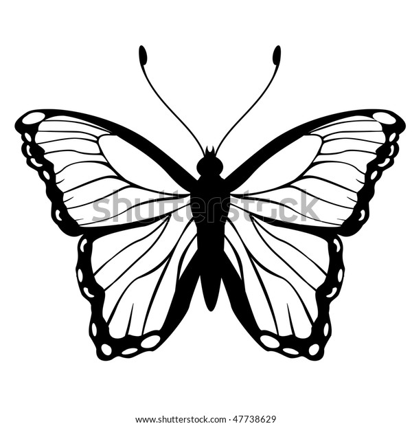 Vector Illustration Detailed Butterfly Silhouette Stock Vector Royalty