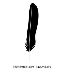 Vector illustration detailed feather silhouette isolated on white