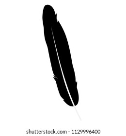 Vector illustration detailed feather silhouette isolated on white