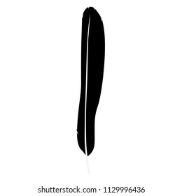 Vector illustration detailed feather silhouette isolated on white
