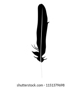 Vector illustration detailed feather silhouette isolated on white