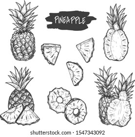 Vector illustration of detailed fresh raw exotic citrus fruit set. Tropical pineapple. Whole, cut, slice, composition, half, circles, parts. Vintage hand drawn style.