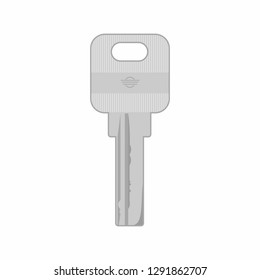 A vector illustration detailed gray key flat design on white background