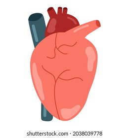Ilustración vectorial de un corazón detallado, adecuado para la publicidad de productos de salud y educación