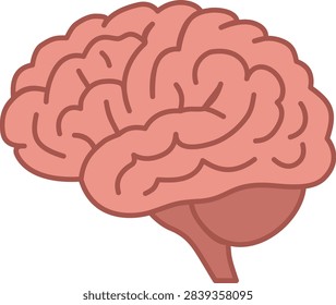 Vector illustration of a detailed human brain internal cross section revealing corpus callosum, thalamus, and cerebral cortex. Ideal for neuroscience, neurology, and medical education.