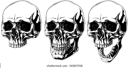 A vector illustration of Detailed scary graphic human skull with black eyes set