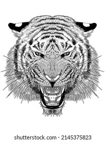 Vector Illustration of Detailed Tiger face	