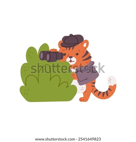 Vector illustration of a detective tiger in a jacket and cap, watching through binoculars behind the bushes. Detective animal. Flat cartoon style on an isolated background. Childish design.