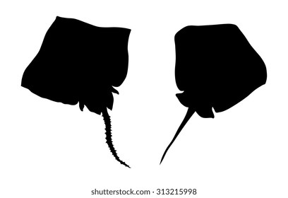 Vector illustration of devil fishes