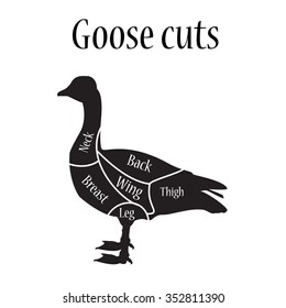 Vector illustration diagram or chart for butcher shop. Animal silhouette. Goose cuts.