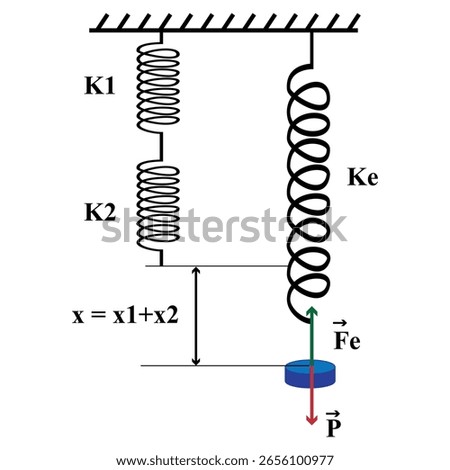 Vector illustration of a diagram showing how the combination of two springs in series works for the study of physics.