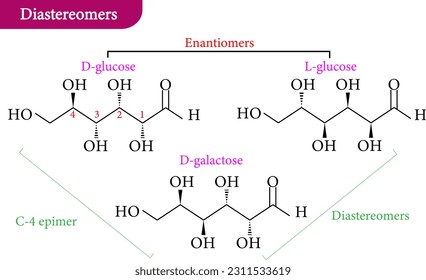 Vector illustration of diastereomer,enantiomers,D-glucose ,L-glucose ,D-galactose
