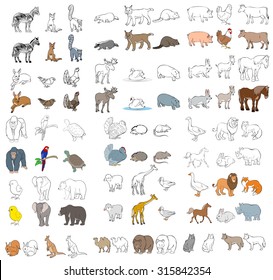 Vector illustration of a different animals set