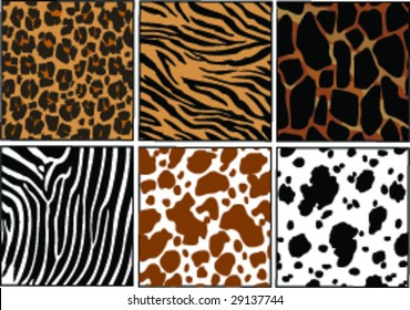 Vector Illustration of different animals skins